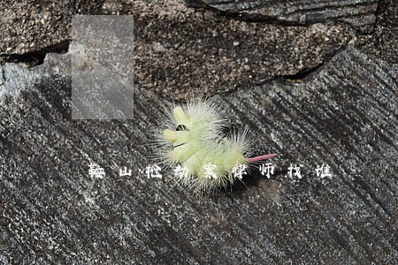 鞍山抢劫案律师找谁 鞍山抢劫案律师找谁