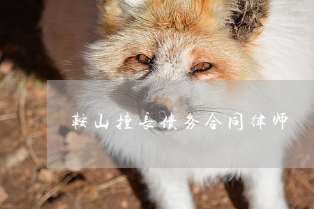 鞍山擅长债务合同律师 鞍山擅长债务合同律师