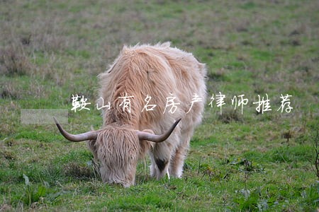 鞍山有名房产律师推荐 鞍山有名房产律师推荐