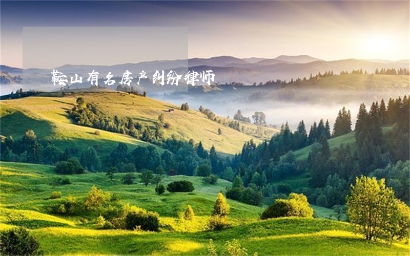 鞍山有名房产纠纷律师 鞍山有名房产纠纷律师