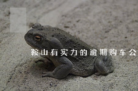 鞍山有实力的逾期购车公司 鞍山有实力的逾期购车公司