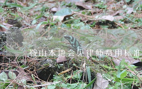 鞍山本地会见律师费用标准 鞍山本地会见律师费用标准