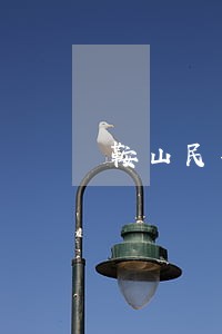 鞍山民事律师咨询电话 鞍山民事律师咨询电话