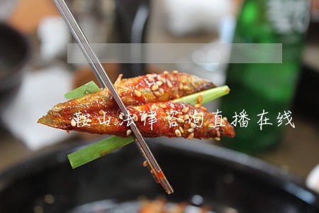 鞍山法律咨询直播在线 鞍山法律咨询直播在线