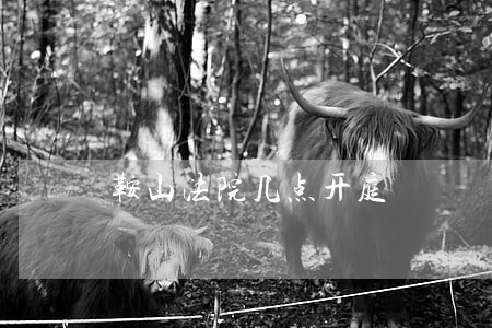 鞍山法院几点开庭 鞍山法院几点开庭