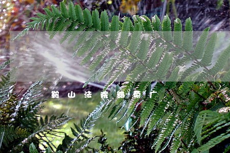 鞍山法院雒荣广