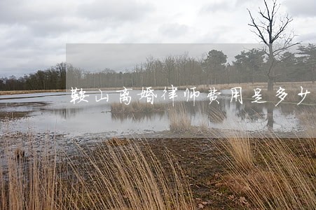 鞍山离婚律师费用是多少 鞍山离婚律师费用是多少