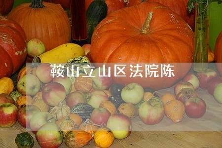 鞍山立山区法院陈 鞍山立山区法院陈