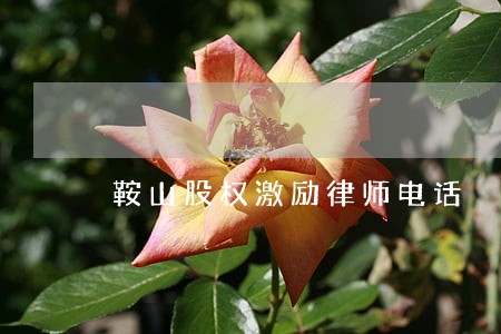 鞍山股权激励律师电话 鞍山股权激励律师电话