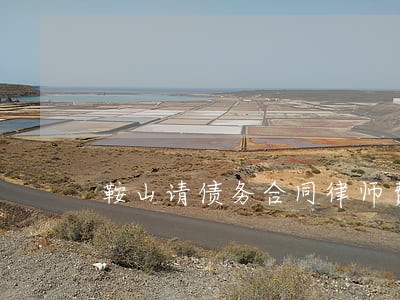 鞍山请债务合同律师费用多少