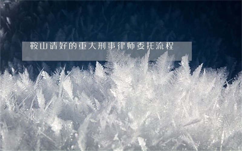 鞍山请好的重大刑事律师委托流程