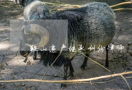 鞍山遗产继承纠纷律师 鞍山遗产继承纠纷律师