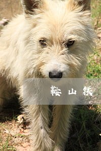 鞍山铁东法院谁监管 鞍山铁东法院谁监管