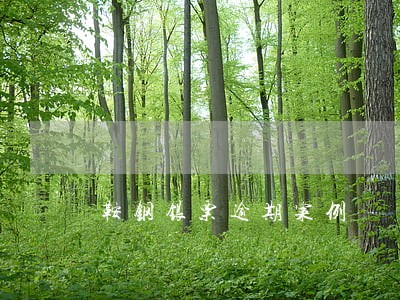 鞍钢银票逾期案例 鞍钢银票逾期案例