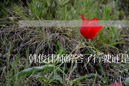 韩俊律师解答了行驶证是我老婆的 韩俊律师解答了行驶证是我老婆的