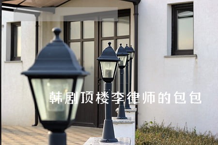 韩剧顶楼李律师的包包 韩剧顶楼李律师的包包