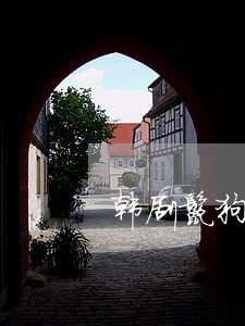 韩剧鬣狗贾律师开车的歌曲 韩剧鬣狗贾律师开车的歌曲