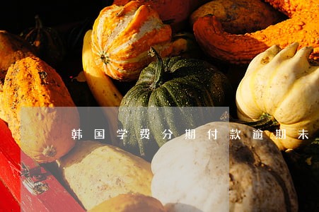 韩国学费分期付款逾期未交怎么办 韩国学费分期付款逾期未交怎么办