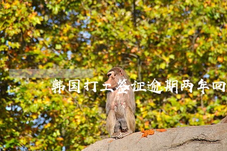 韩国打工签证逾期两年回国程序 韩国打工签证逾期两年回国程序