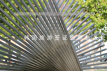韩国旅游签证逾期怎么处理 韩国旅游签证逾期怎么处理