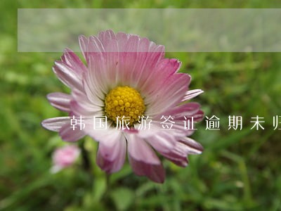 韩国旅游签证逾期未归 韩国旅游签证逾期未归