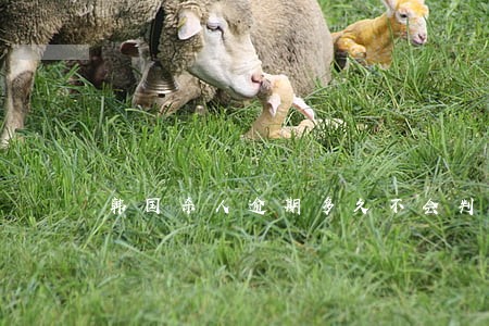 韩国杀人逾期多久不会判刑 韩国杀人逾期多久不会判刑