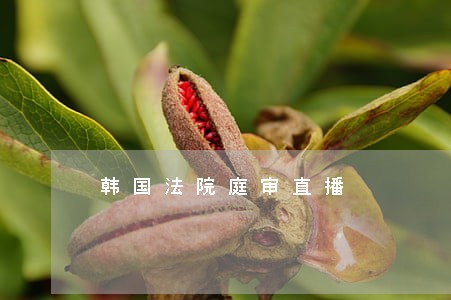 韩国法院庭审直播 韩国法院庭审直播
