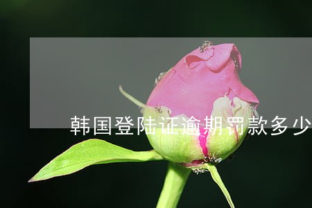 韩国登陆证逾期罚款多少 韩国登陆证逾期罚款多少
