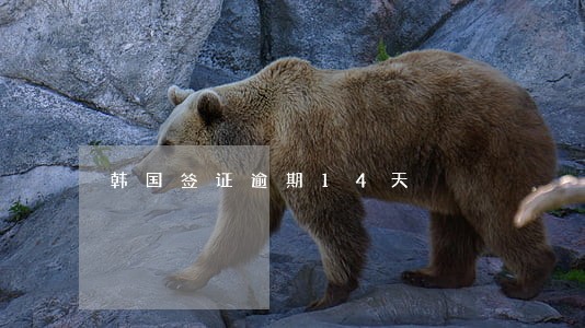 韩国签证逾期14天 韩国签证逾期14天