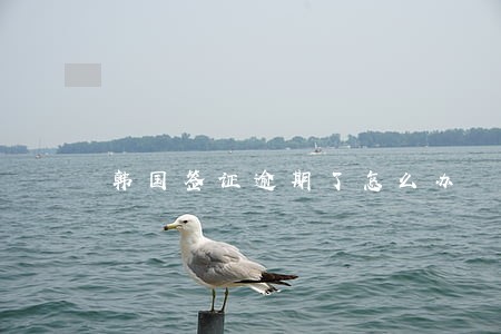 韩国签证逾期了怎么办 韩国签证逾期了怎么办