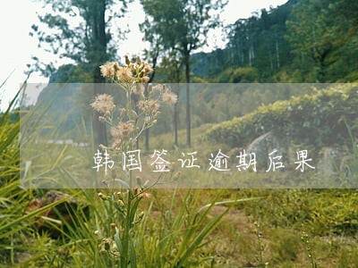 韩国签证逾期后果
