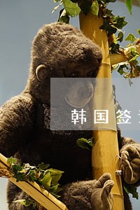 韩国签证逾期处理最新方案 韩国签证逾期处理最新方案