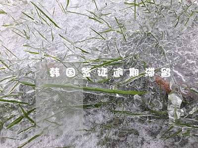 韩国签证逾期滞留 韩国签证逾期滞留