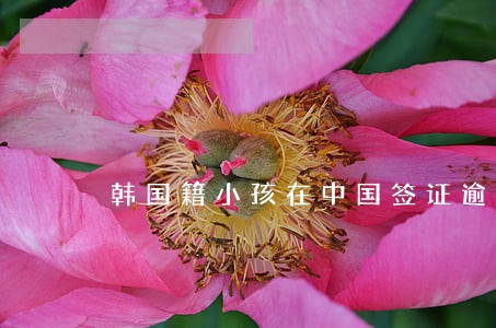 韩国籍小孩在中国签证逾期 韩国籍小孩在中国签证逾期