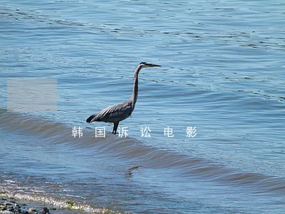 韩国诉讼电影 韩国诉讼电影