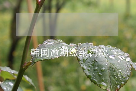 韩国逾期缴纳罚款 韩国逾期缴纳罚款