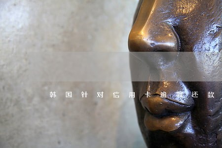 韩国针对信用卡逾期还款后果 韩国针对信用卡逾期还款后果