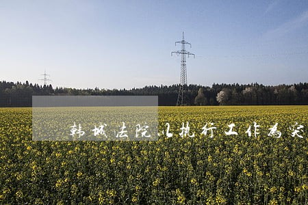 韩城法院以执行工作为突破口 韩城法院以执行工作为突破口