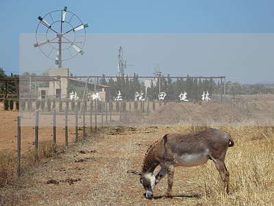 韩城法院田健林 韩城法院田健林