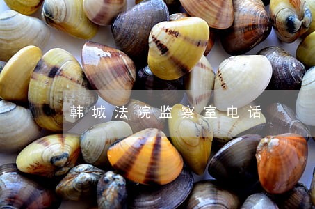 韩城法院监察室电话