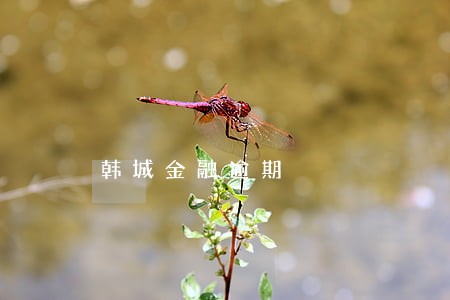 韩城金融逾期 韩城金融逾期