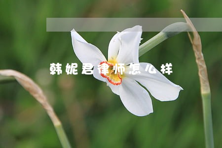 韩妮君律师怎么样 韩妮君律师怎么样