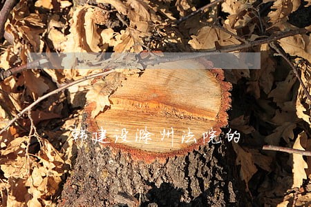 韩建设滁州法院的