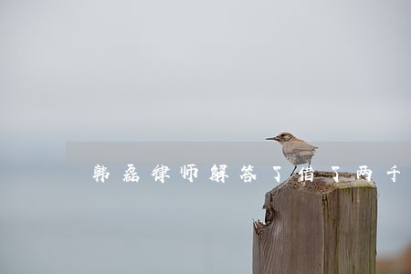 韩磊律师解答了借了两千元 韩磊律师解答了借了两千元