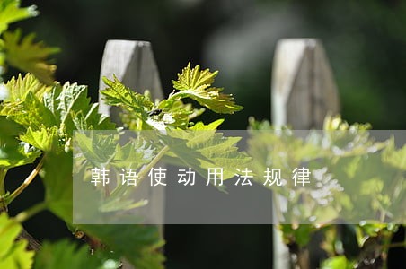 韩语使动用法规律
