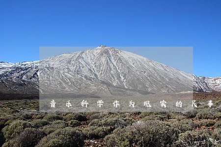 音乐科学作为现实的民事诉讼