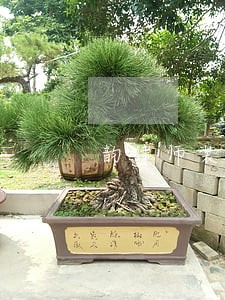 韵律师装 韵律师装