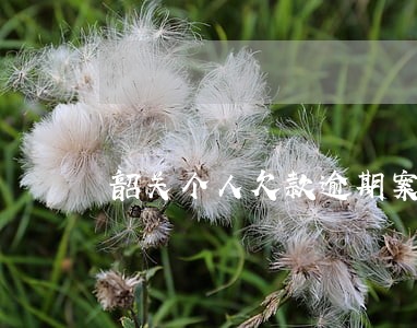 韶关个人欠款逾期案例 韶关个人欠款逾期案例