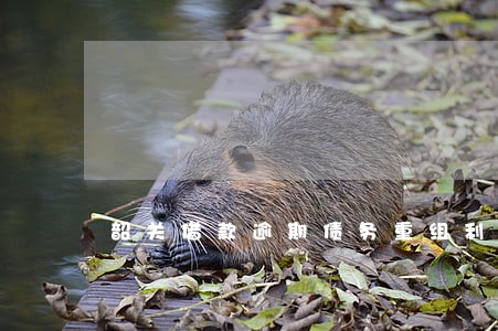 韶关借款逾期债务重组利弊 韶关借款逾期债务重组利弊