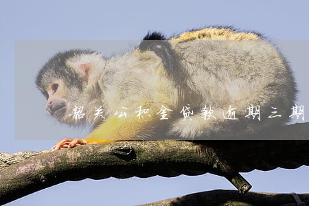 韶关公积金贷款逾期三期 韶关公积金贷款逾期三期